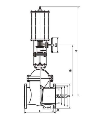 Pneumatic actuator gate valve