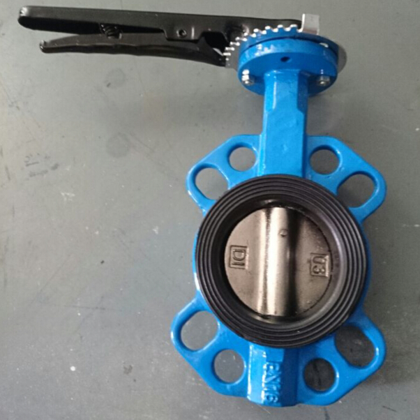 Butterfly valve rubber seat